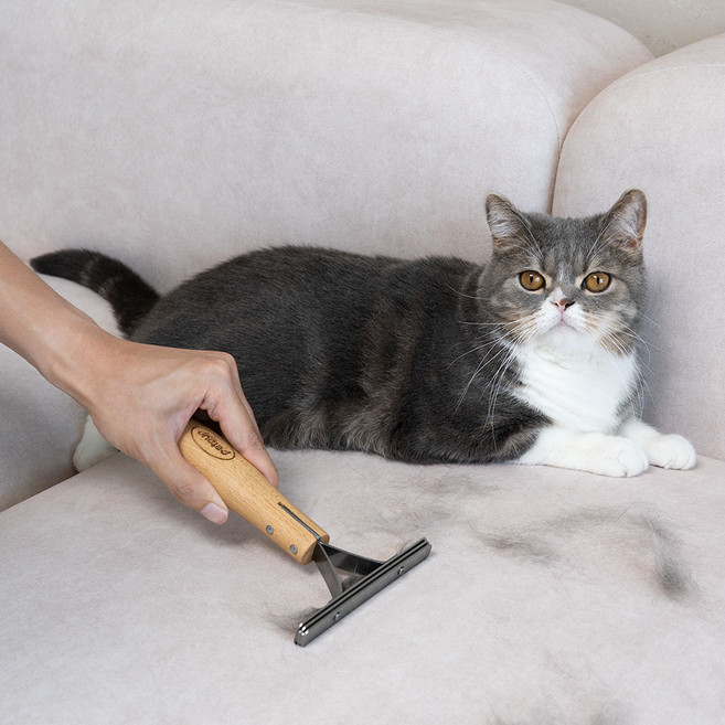 펫펍 쓱싹스크래퍼 고양이털 강아지털 제거기, 1개, 우드