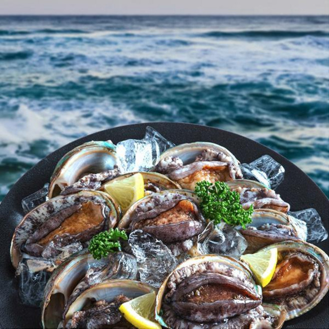 가람 완도산 활전복(중대)1kg(10~12미내외), 1개