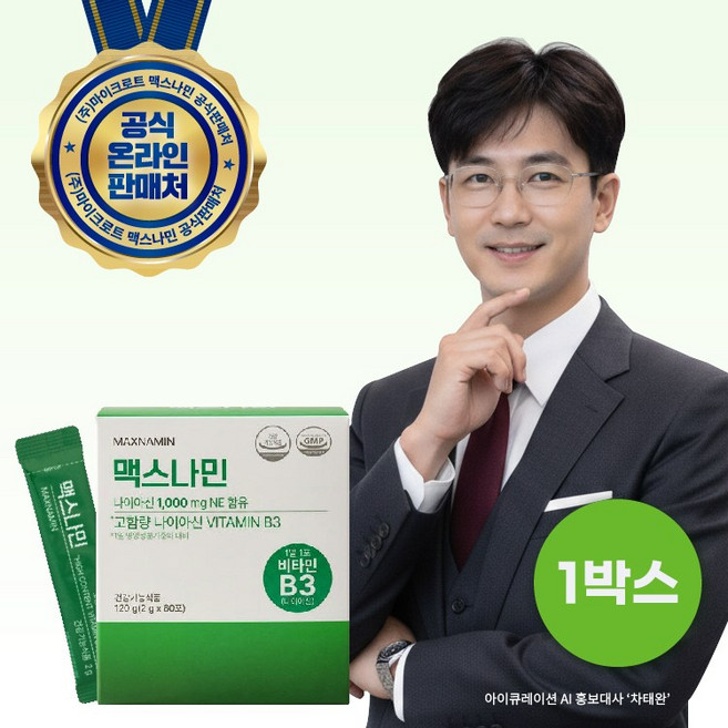 맥스나민(MaxNAMIN) 고용량 비타민 B3 1000g 니코틴산아미드, 1개, 60회분
