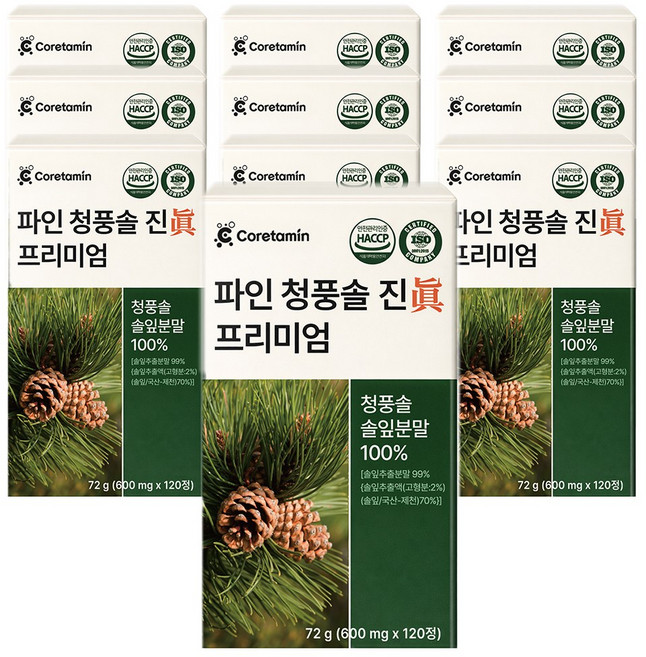 코어타민 파인 청풍솔 진 프리미엄 국산 솔잎 100% 식약청 인증 HACCP 추출물 농축액, 10개, 120정