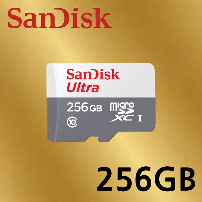 티피링크 Tapo C210 C200 C320WS C310 C225 C110 C110 C500 C510W C520WS VIGI 홈캠 CCTV 녹화용 메모리카드 Micro SD카드, 1개, 256GB