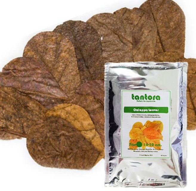 TANTORA 탄토라 알몬드잎 나노 (관상어 면역 번식력 증가), 1개