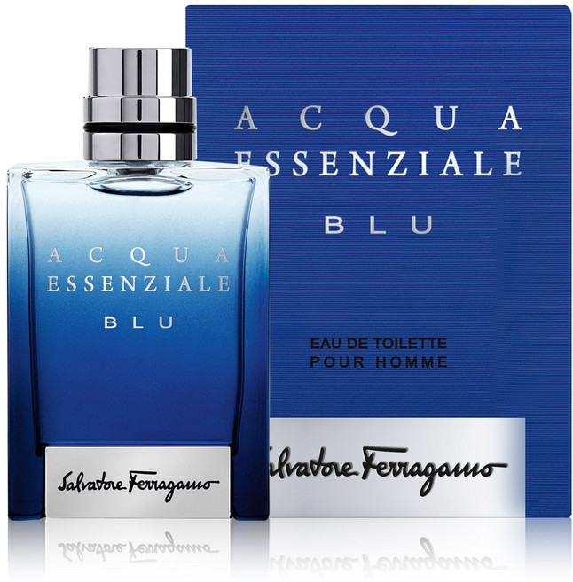 살바토레페라가모 아쿠아 에센셜 블루 뿌르옴므 오드뚜왈렛, 100ml, 1개