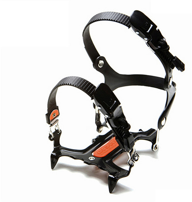 라이프스포츠 6P파워아이젠