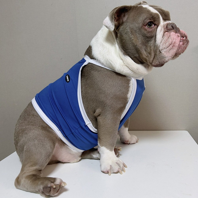 도기스타 프렌치불독옷 크롭 여름 냉감 끈나시, 1개, 파랑