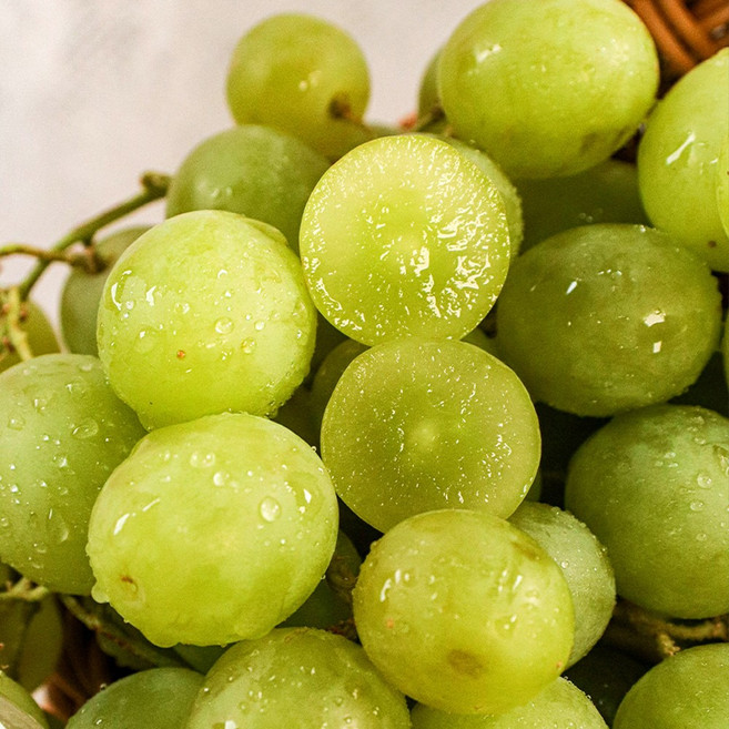 [희귀신품종] 내맘대로 골라먹는 수입포도 4종, 1박스, 오톰크리스피 500g