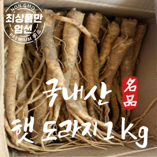 국내산 햇 도라지 생도라지 백도라지 상급 1kg, 1개