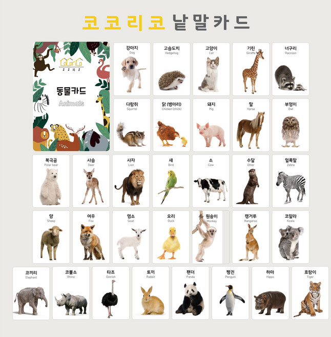 코코리코 한글 영어 동물 과일 채소 양면 낱말 카드, 동물32종+과채36종, 1개