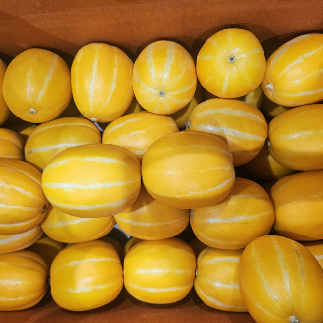 [백화점 납품] 고당도 성주 꿀 참외 프리미엄 당도선별, 1박스, 성주참외 가정용 1kg(랜덤혼합)