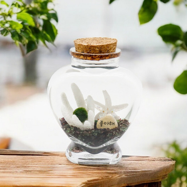 미미네아쿠아 소원석 애완돌 마리모 키우기 세트 - 기념, 1개