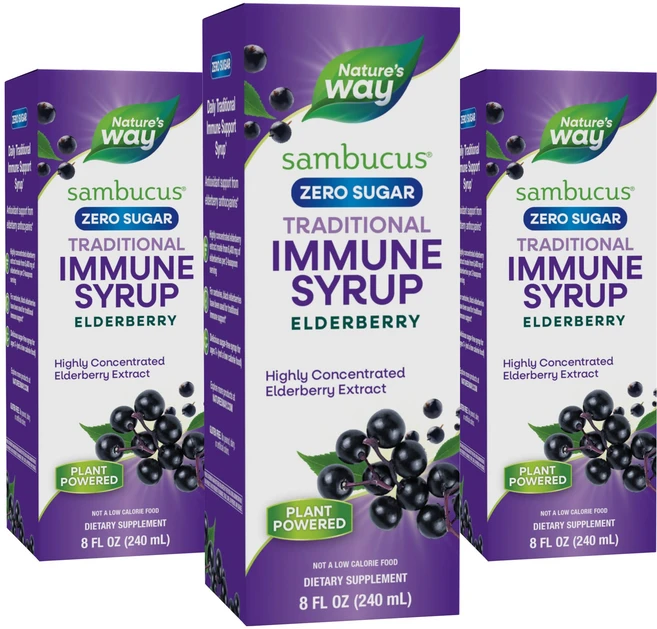 네이쳐스웨이 삼부커스 엘더베리 시럽, 240ml, 3개 - 쿠팡