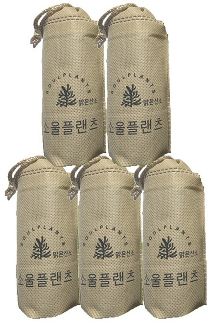 곰팡이 냄새 탈취제 방향제 냄새제거 냄새 제거제 중간사이즈, 10g, 5개