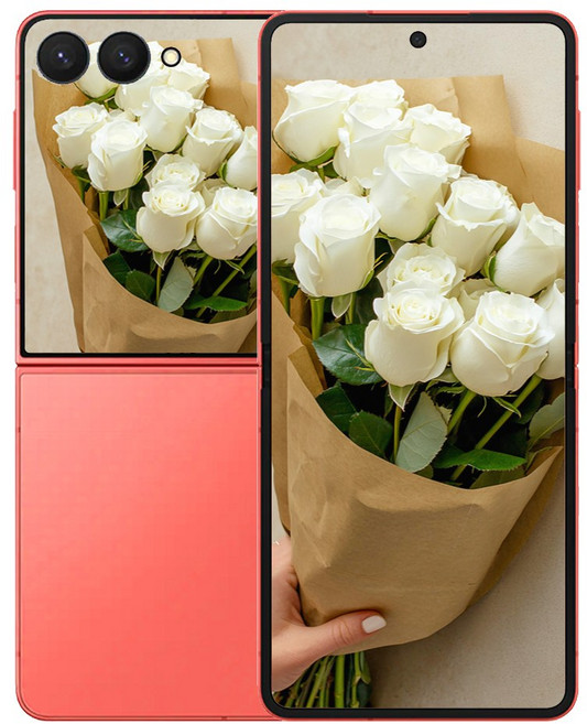 갤럭시 삼성전자 Z 플립7, 512GB, Z플립7 코랄 레드