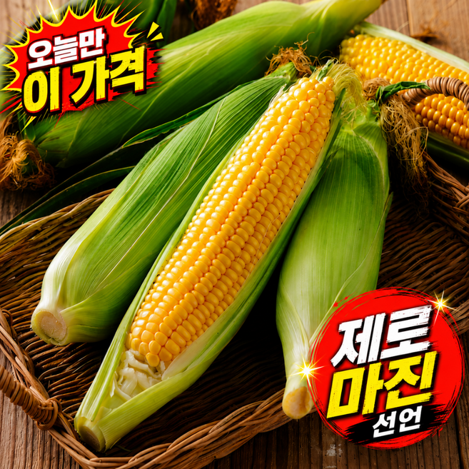 [하루30박스] 2026년햇 국내산 고당도 초당옥수수, 1박스, 특품 / 5개입 / 가식길이16~20cm