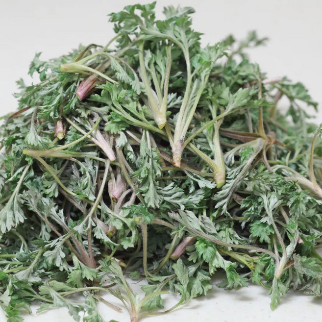 해풍맞아 더 향긋한 자연산 노지 쑥 생쑥 햇쑥, 1개, 1kg