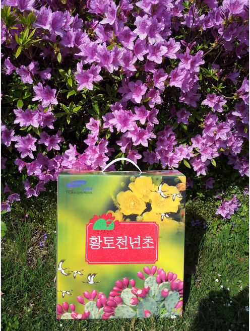 고창황토천년초 엑기스3개월분(90포) (무료배송), 1개, 6.3L