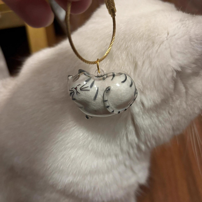 투명 고양이 털 수납 보관함 반려동물 귀여운 키링 열쇠고리 가방 걸이 장식 애완동물 모발 기념품 액세서리 메모리얼 수납, 2위 은빛 호랑이 고양이 - [버클 컬러 랜덤], 1개