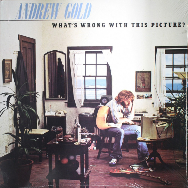 (수입 LP) ANDREW GOLD What's Wrong With This Picture NEW SEALED 1979 Vinyl LP Record 1086, (수입 LP) ANDREW GOLD What's Wro