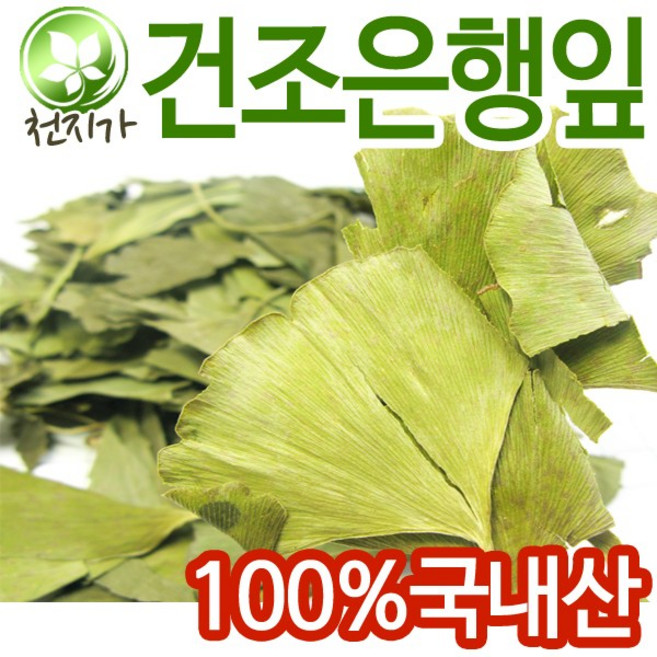국산 은행잎 600g 말린 은행잎 징코, 1개