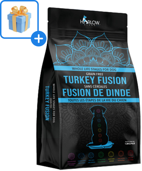할로우 블렌드 할로사료 강아지 사료 TURKEY FUSION 1+1 (1.8kg x 2포) + 닭츄 랜덤 1P, 1.8kg, 2개, 칠면조