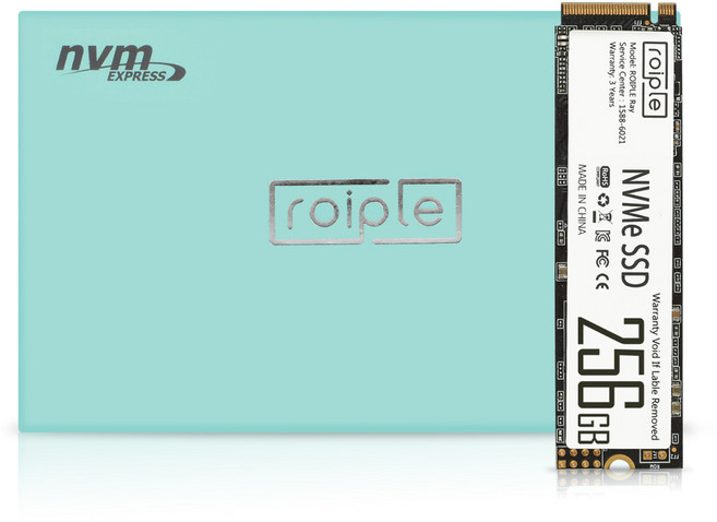 디오테라 NVMe SSD, 256GB, Roiple Ray