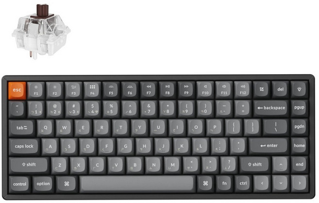 Keychron K2 Max 75% 無線機械鍵盤 支援Mac/Win RGB 熱插拔, 茶軸