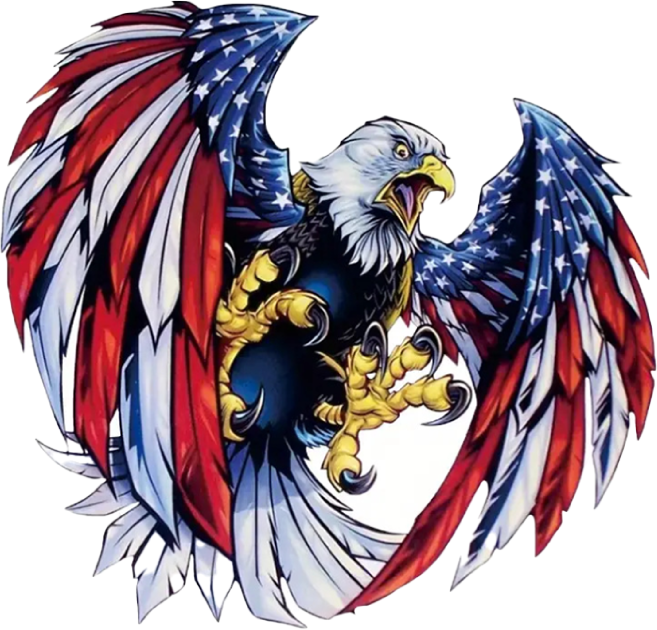 삼항LED 카라 이글 스티커 외 5종 /차량 데칼 스티커/화물차 트럭 오토바이 스티커, 1개, 아메리카이글 대형