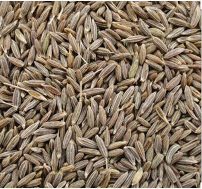 S. N. FOOD CUMIN(ZIRA)SEED WHOLE 1KG 양꼬치양념 큐민씨드 즈란, 1개