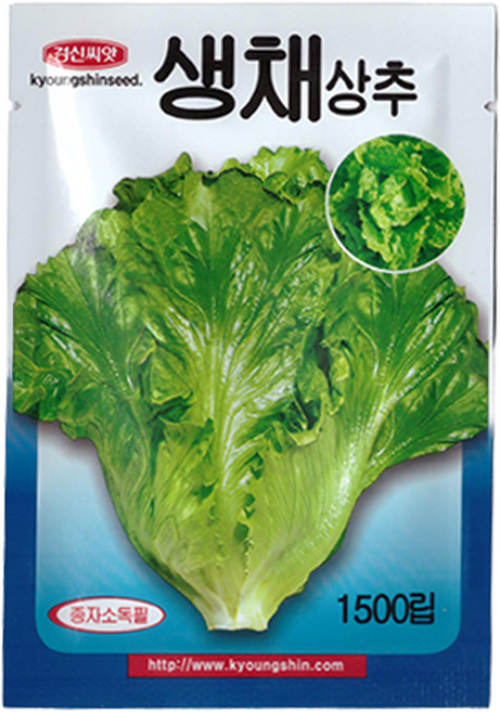 세인화분 생채 상추 씨앗 1500립 - 씨 씨앗 샐러드 상추씨 샐러드, 1개