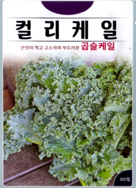 KS종묘 컬리케일 씨앗 300립 곱슬케일 드워프 블루 스코치드 ks, 1개