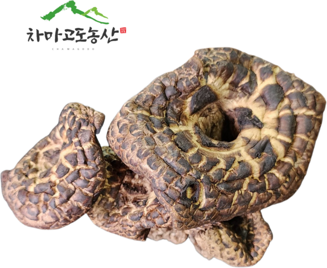 건조능이버섯 참능이버섯 자연산 [차마고도농산], 1개, 100g