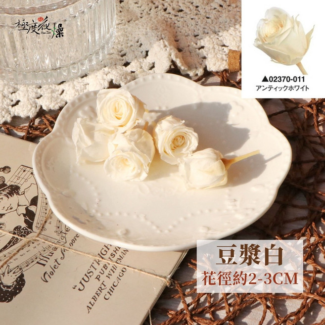 大地農園 永生玫瑰, 【永生小玫瑰】豆漿白,原裝盒單色一盒24朵