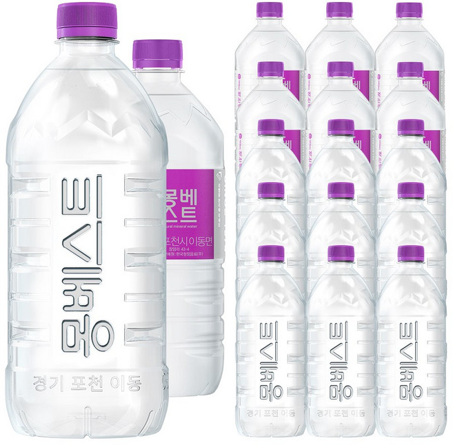 몽베스트 먹는샘물, 1L, 48개