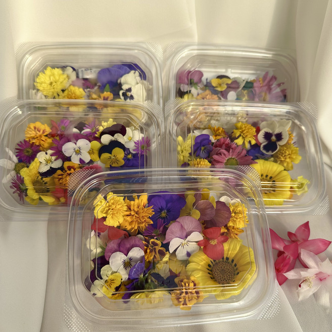 식용데코꽃 50+5송이 할인구성, 1세트