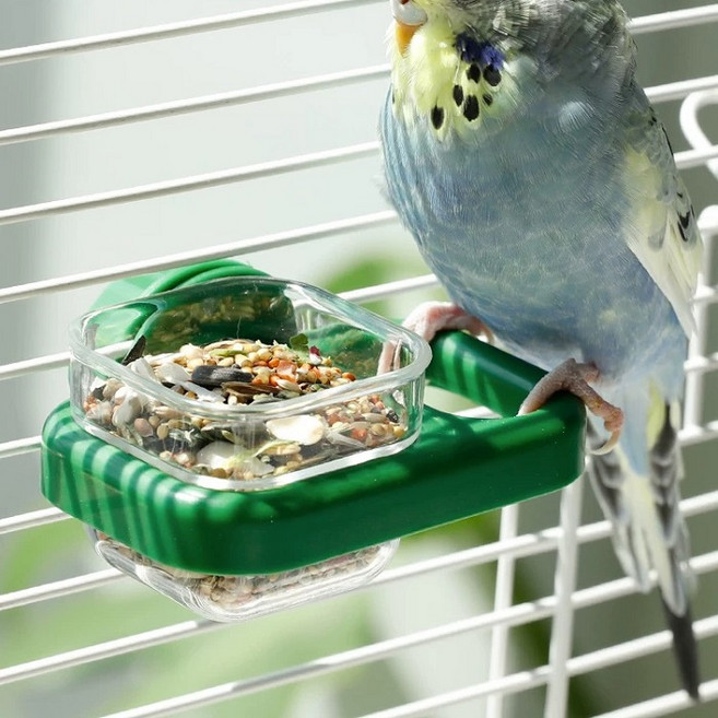시웨이 앵무새 높이조절 걸이형 급식기 모이통 조류, 1개, 그린