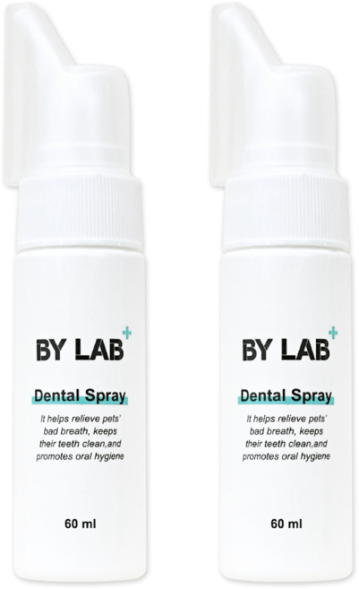 바이랩 덴탈 스프레이 강아지 구강 입냄새 치석 제거 뿌리는 치약, 60ml, 2세트