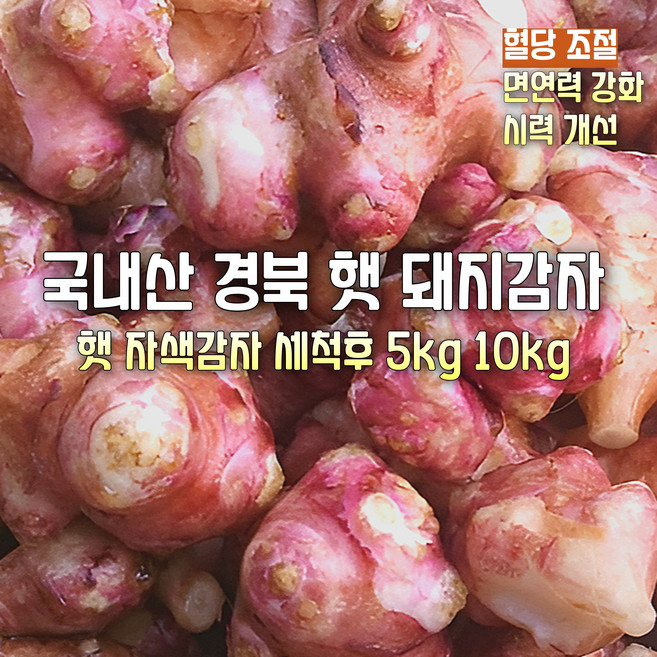 [산지직송] 국내산 자연산 함평. 경북. 충청 특상품 무농약 친환경 햇 자색돼지감자 세척 5kg. 10kg. 선물용 가정용, 1박스, 무농약 햇 자색돼지감자 세척 10kg
