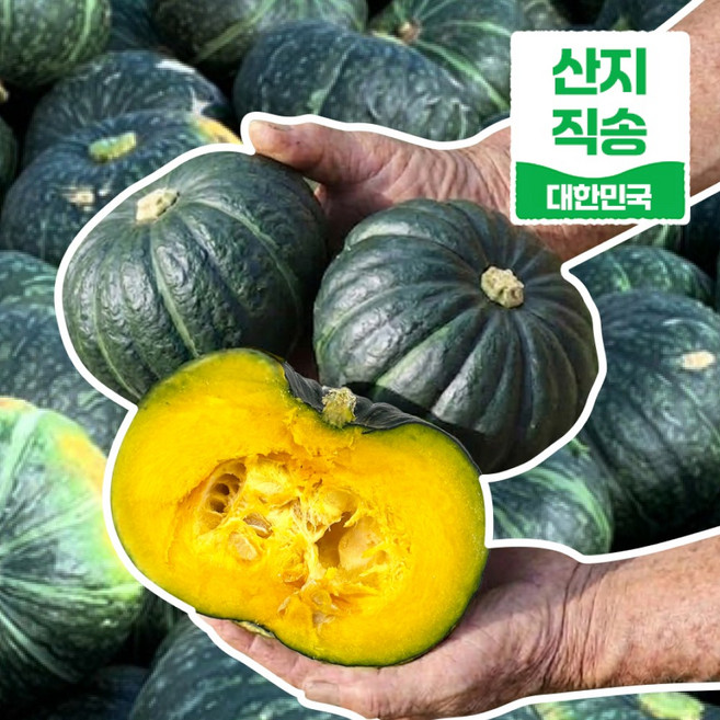 [재구매1위] 국내산 미니밤호박 미니단호박 보우짱, 1박스, 2kg