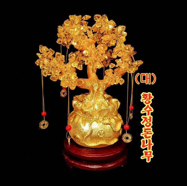 돈나무 재물나무 황수정돈나무 금전수 개업선물 풍수소품 거실인테리어 주머니 돈나무 큰사이즈 할인행사