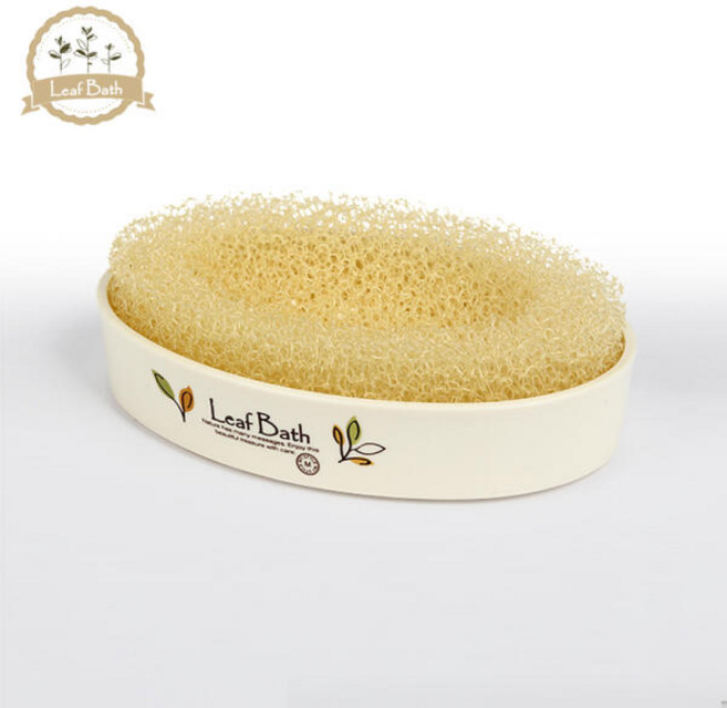 아트박스/마이스타일 잎새 휠터비누대, 1개