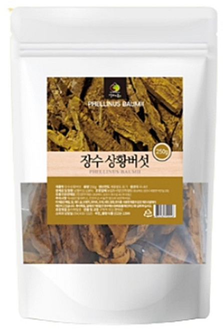 국내산 황금빛 장수 상황버섯100% 맛있는 장수 상황버섯 250g, 1개