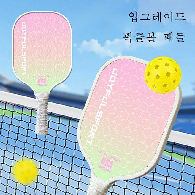 성용용 피클볼 세트 프리미엄 피클볼라켓 2p + 피클볼 4개 + 피클볼커버 세트 ZZQ, 1세트, 블루