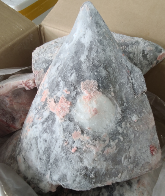 눈다랑어 머리 대(빅아이머리 대) 12kg 박스도매(참치회 냉동참치), 1박스, 10kg