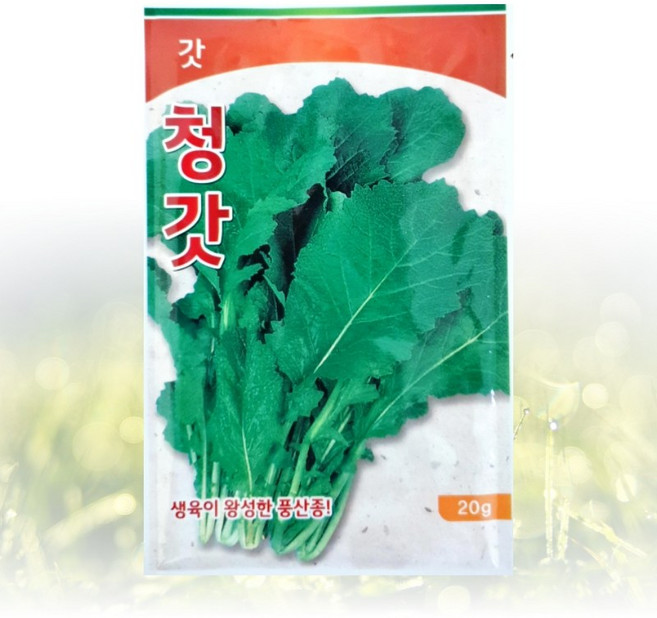 농사친구 청 갓 청갓 씨앗 20g 동원 씨 종자 김장 쪽파 고사리 항암 배추 베타 텃밭 베란다 모종 불암 토광 알타리, 1개