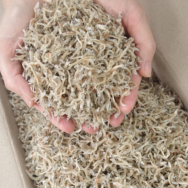 가락시장521 국산 새우먹은 알배기 햇 지리멸치 볶음용 잔멸치, 1.5kg, 1개