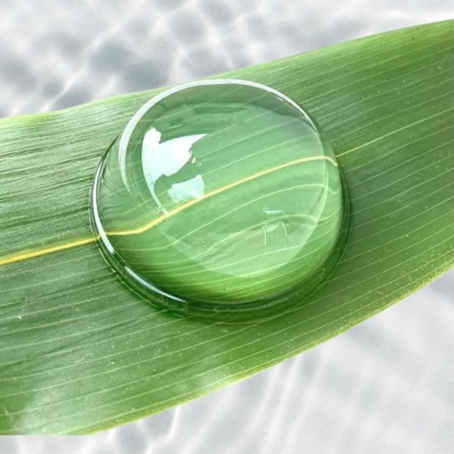 일본 타누마 물방울 와라비모찌 떡 50g 20개입 516753, 일본 타누마 물방울 와라비모찌 떡 50g 20개입 51, 1