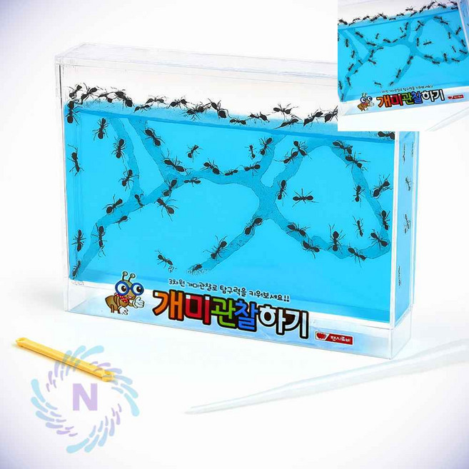 개미 관찰하기 대 블루 체험키트 개미집