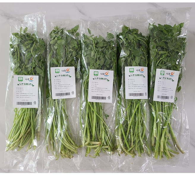 온새미로 gap인증 나주 노안농협 세척 미나리 1kg (200g x5팩), 1박스