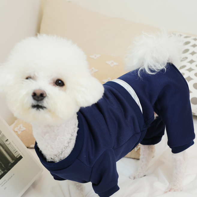 비즈펫 반려동물 캐쥬얼 점프수트 체육복 올인원, 1개, 옐로우