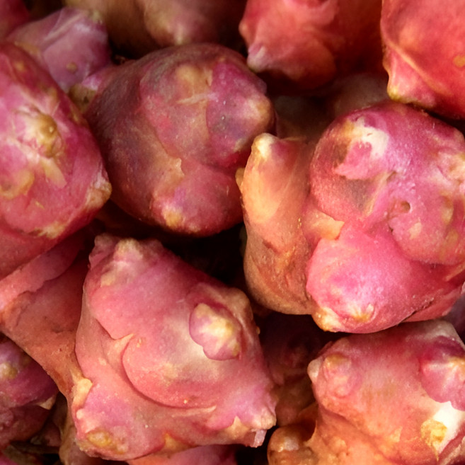 [산지직송] 국내산 자연산 경북 전남 무농약 햇 세척 생돼지감자 5kg 제철 건강작물 선물용 가정용, 1박스, 무농약 햇 세척 생자색돼지감자 5kg 건강작물